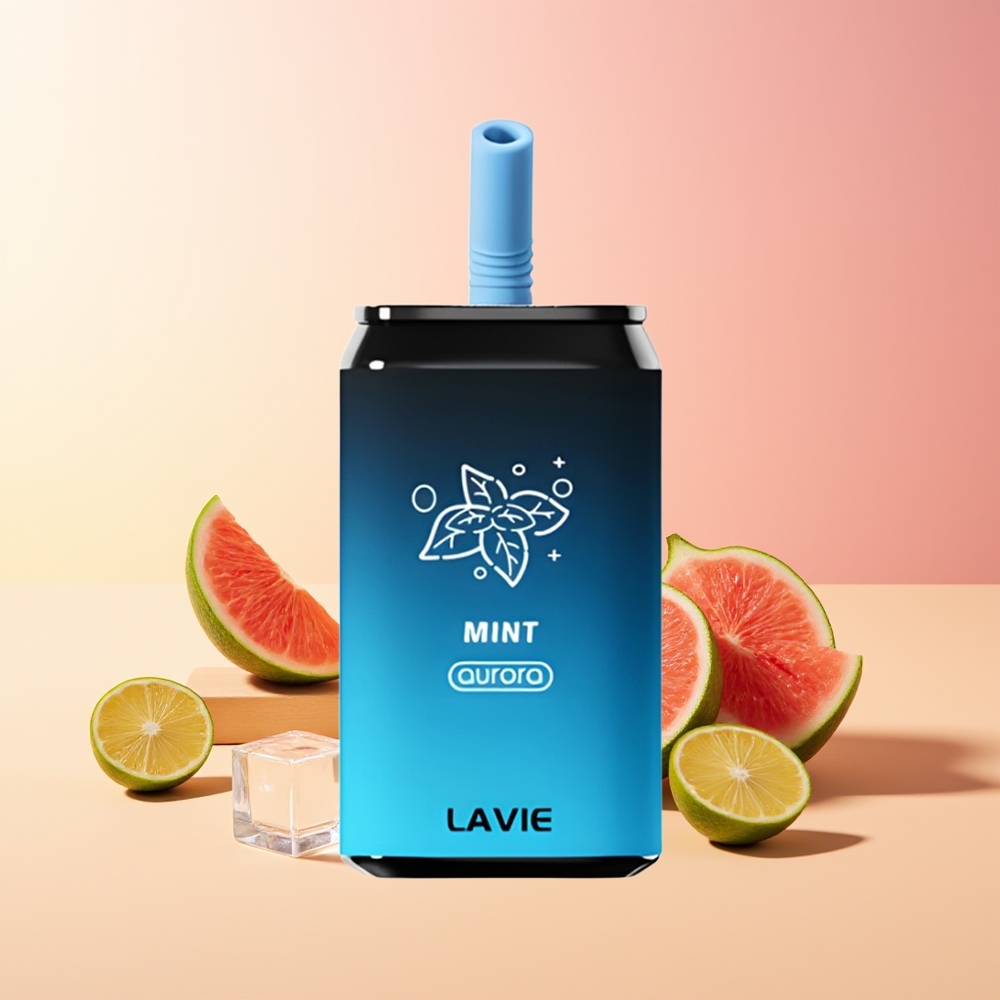 LAVIE Aurora 11000 Pufov Mint Tip-C